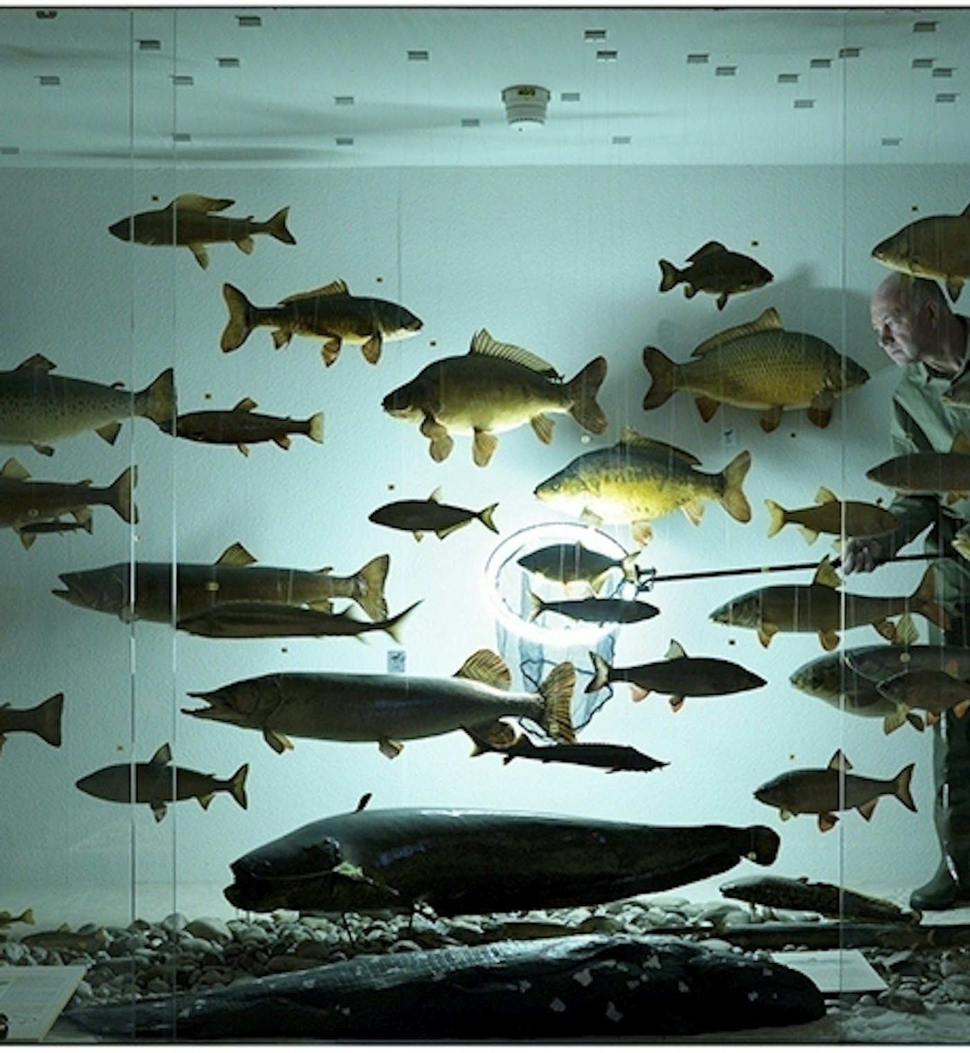 2010 17 Pii the fisherman kopie