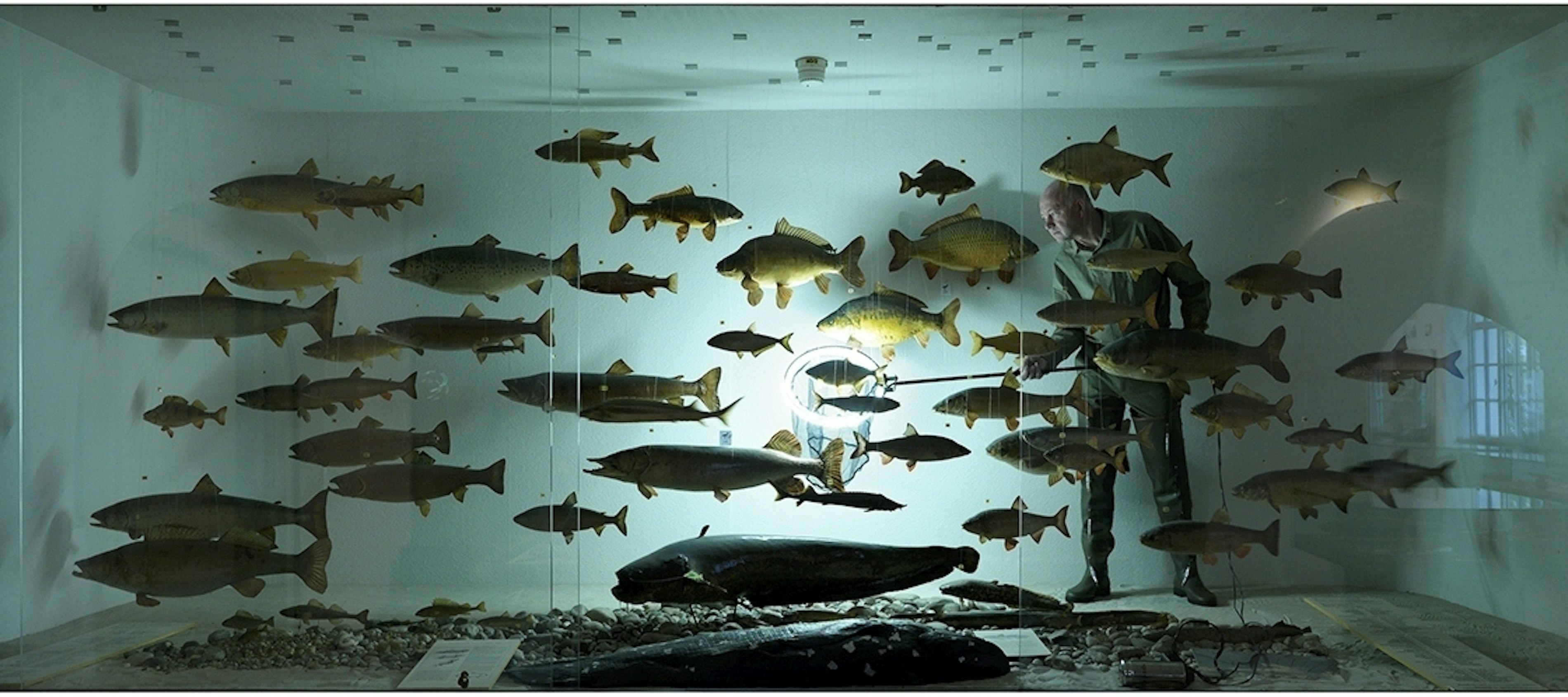 2010 17 Pii the fisherman kopie