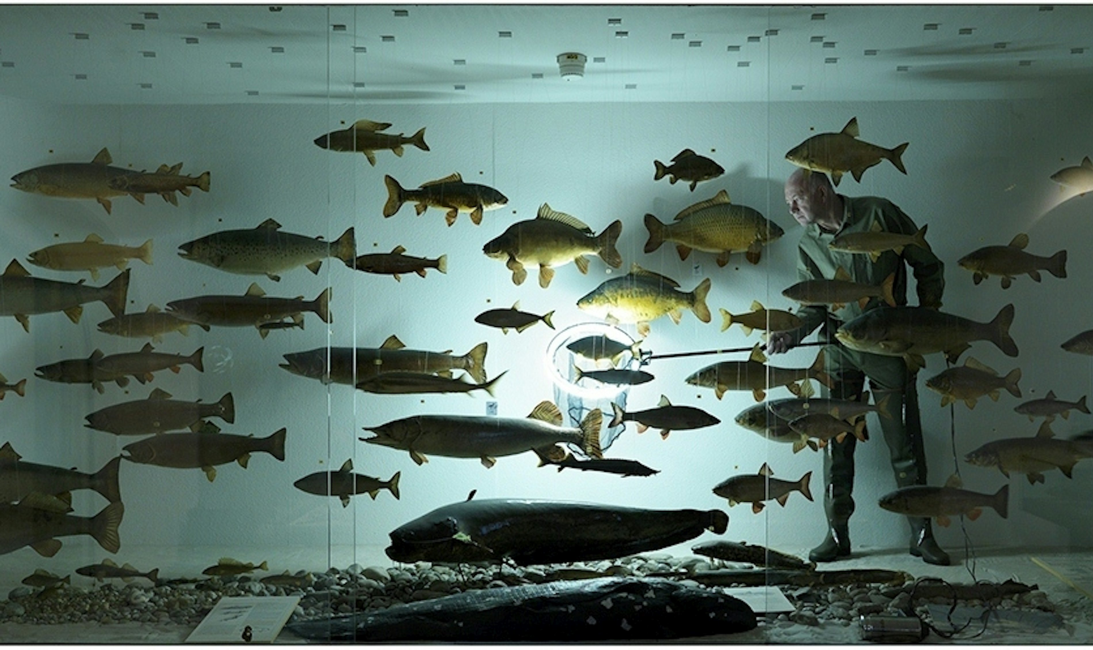 2010 17 Pii the fisherman kopie