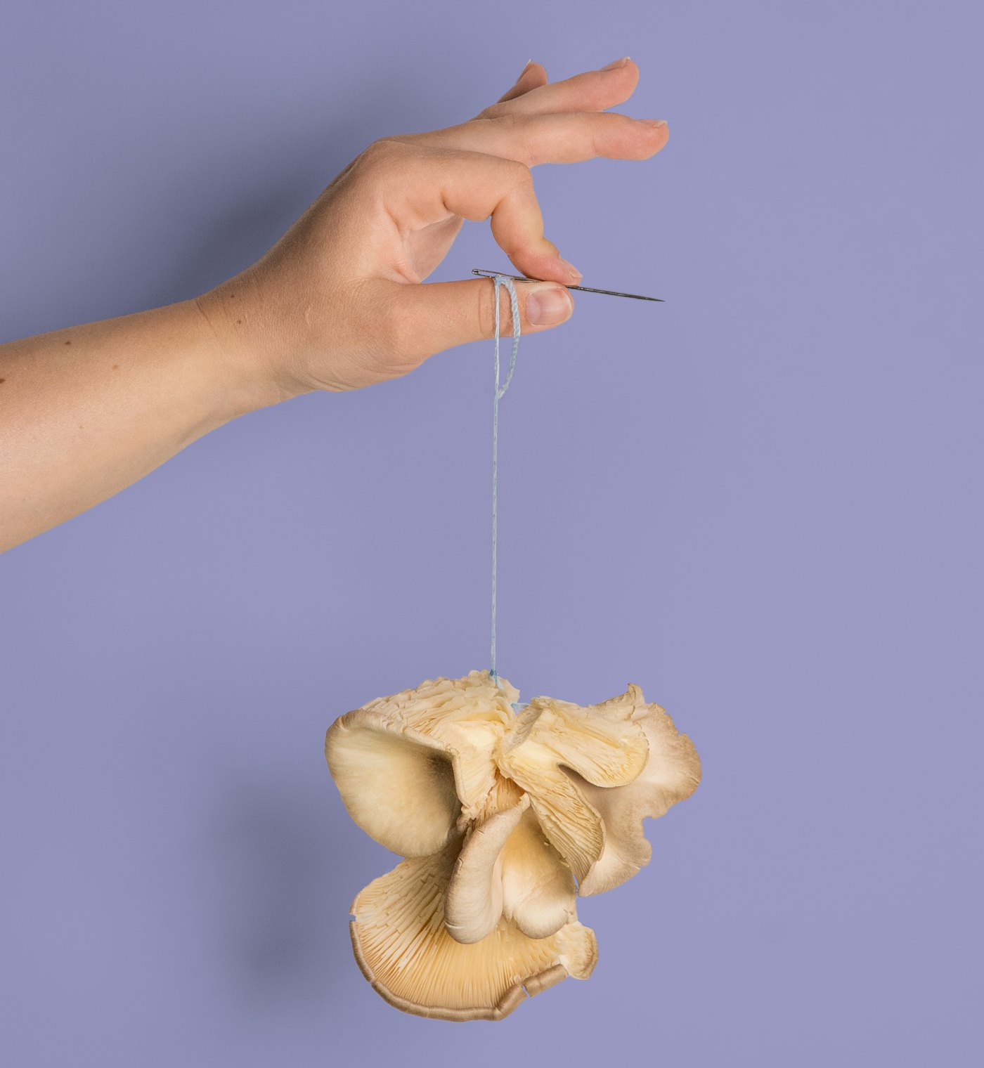 BVD2279 Re think Re act Campagnebeelden