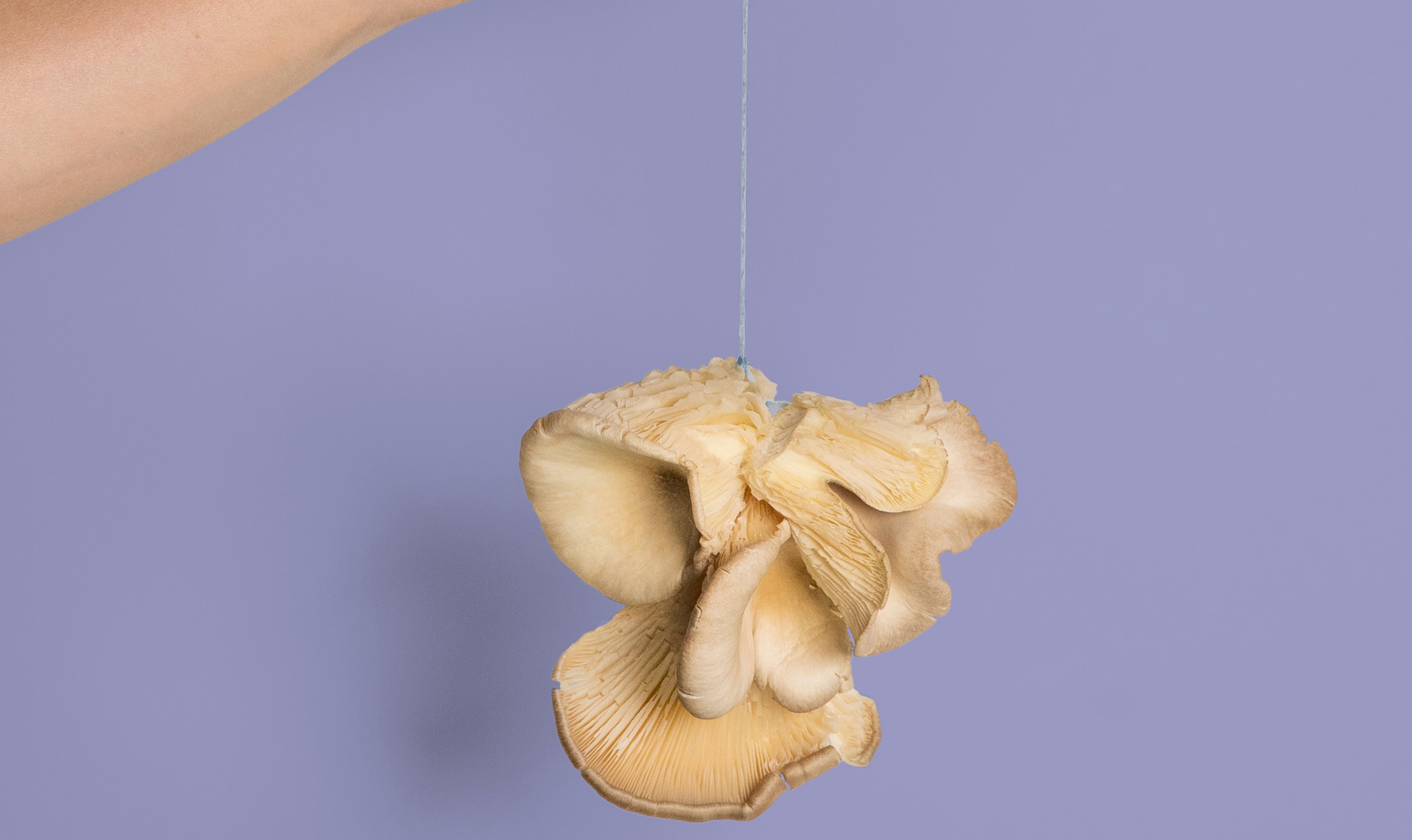 BVD2279 Re think Re act Campagnebeelden