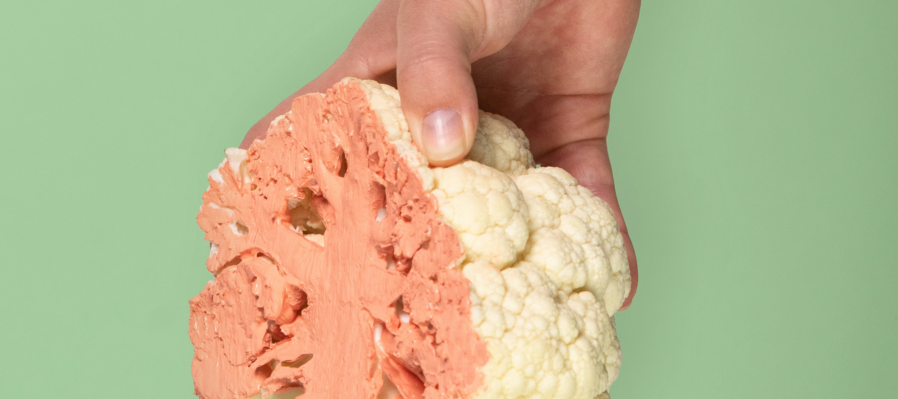 BVD2279 Re think Re act Campagnebeelden7