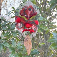 Placeholder for Carmen