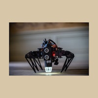 Placeholder for Christy Westhovens