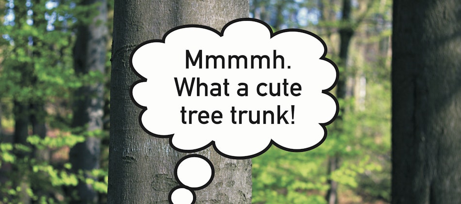 Placeholder for Fabian Seibert N U 01