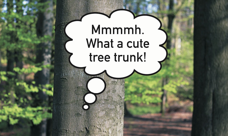 Placeholder for Fabian Seibert N U 01