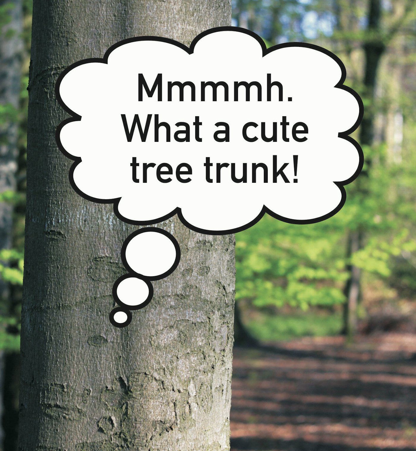 Fabian Seibert N U 01