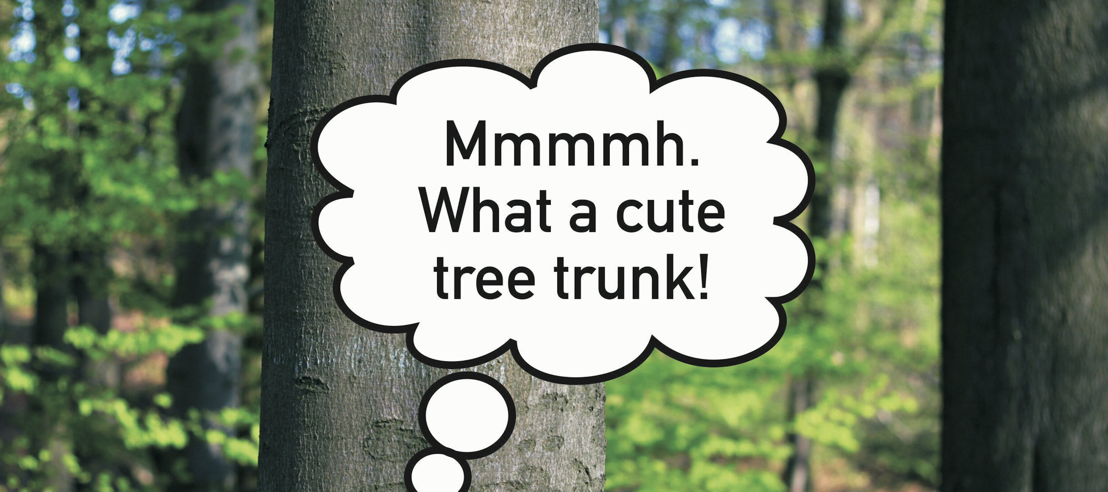 Fabian Seibert N U 01