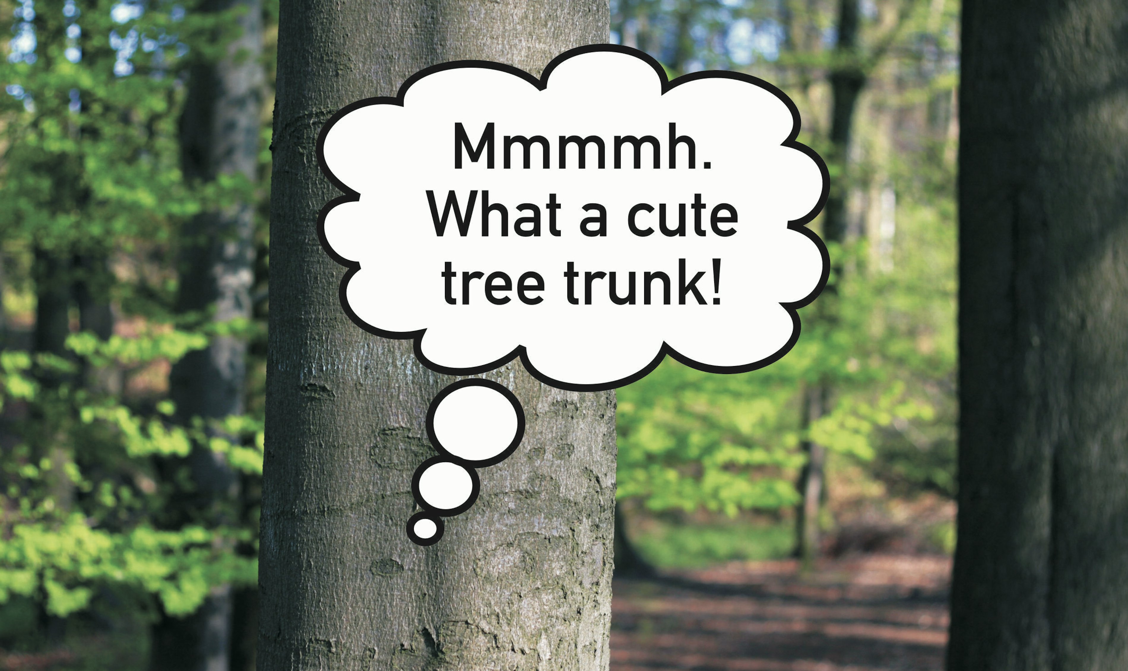 Fabian Seibert N U 01