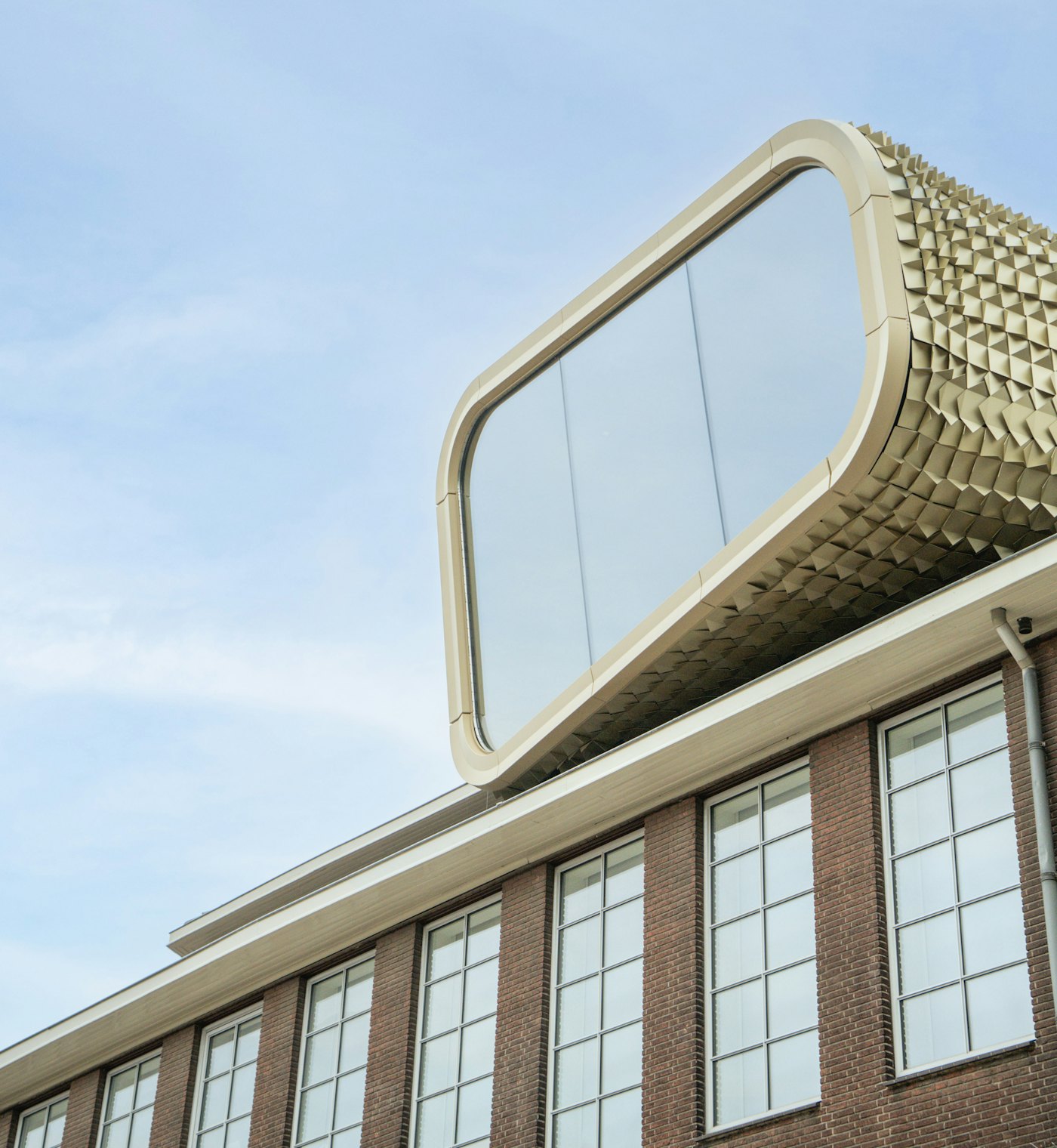 VBVD2021 Website 004