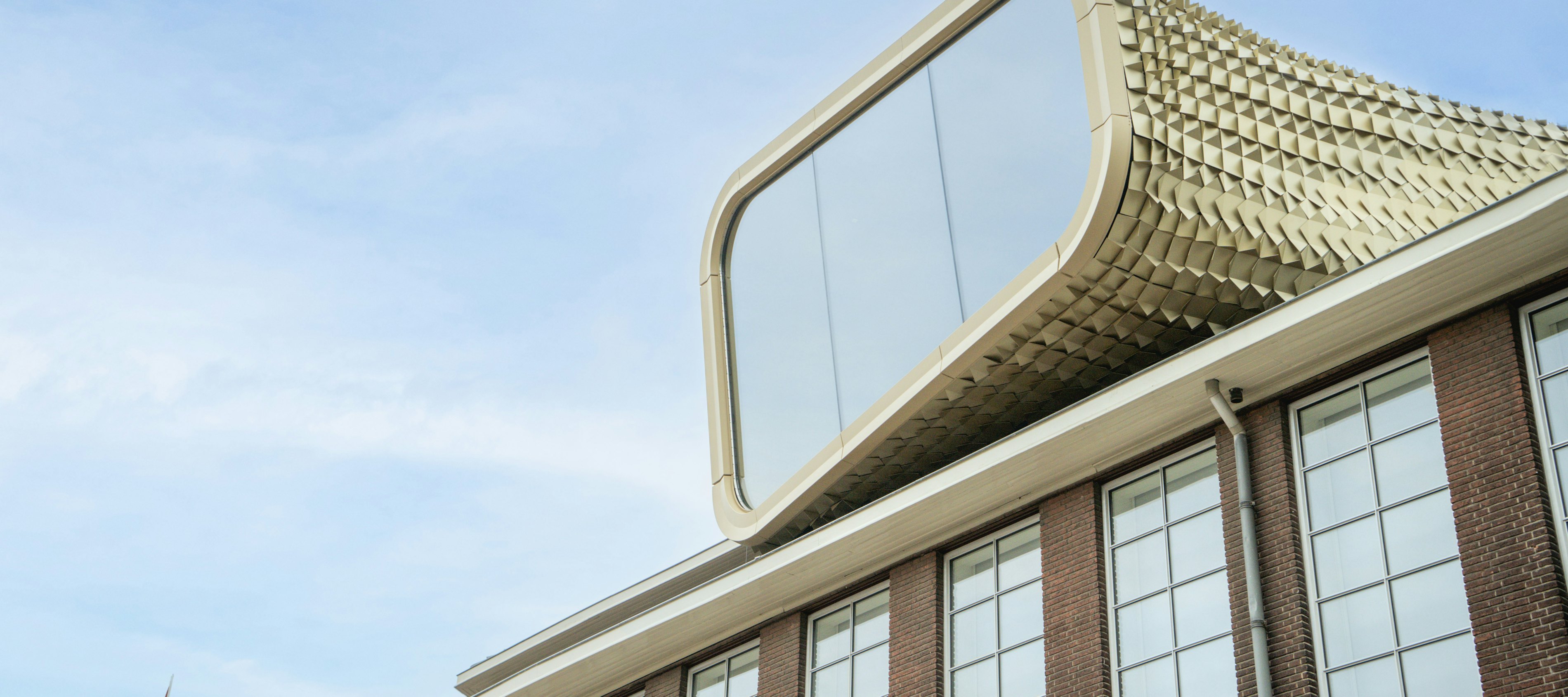 VBVD2021 Website 004