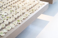 Placeholder for VBVD2021 Website 022