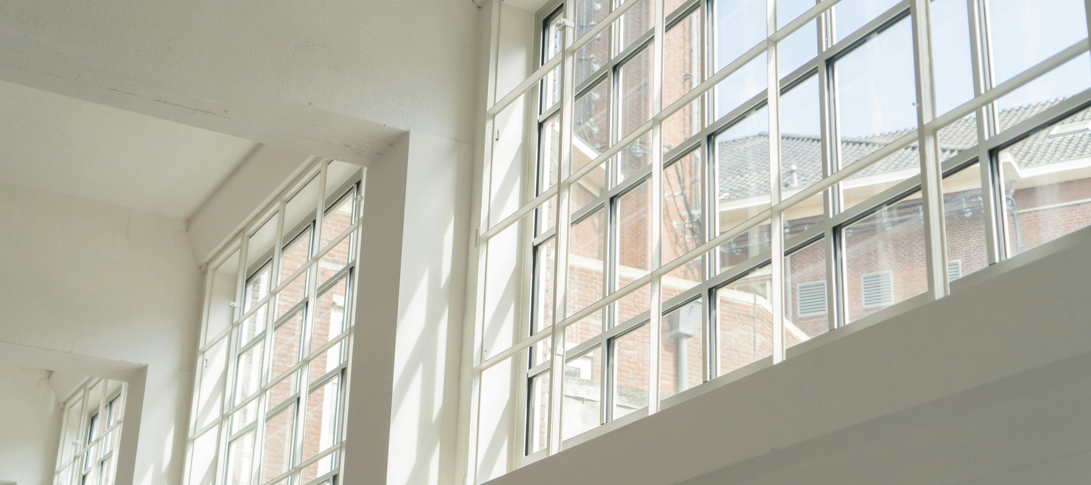 VBVD2021 Website 026