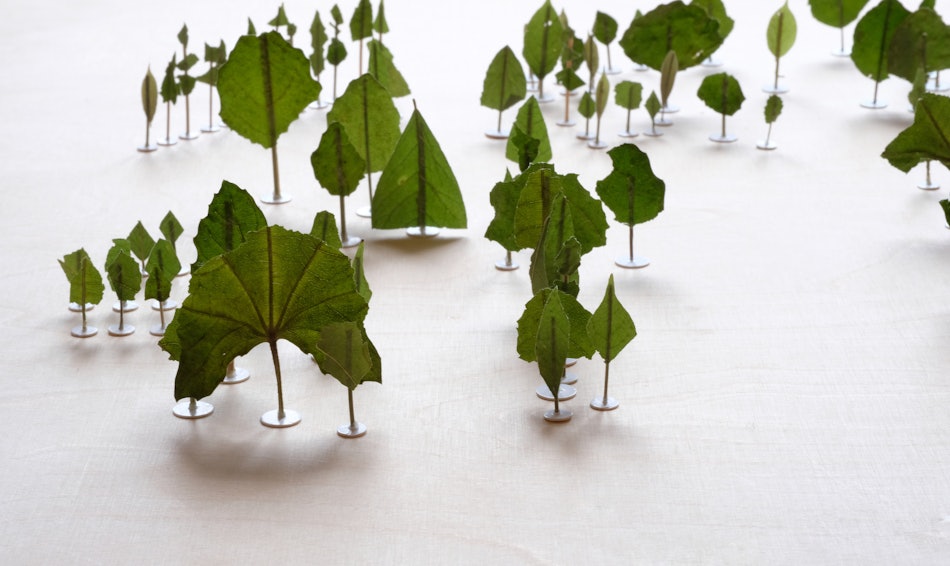 Placeholder for Ingeborg Meulendijks N U 01