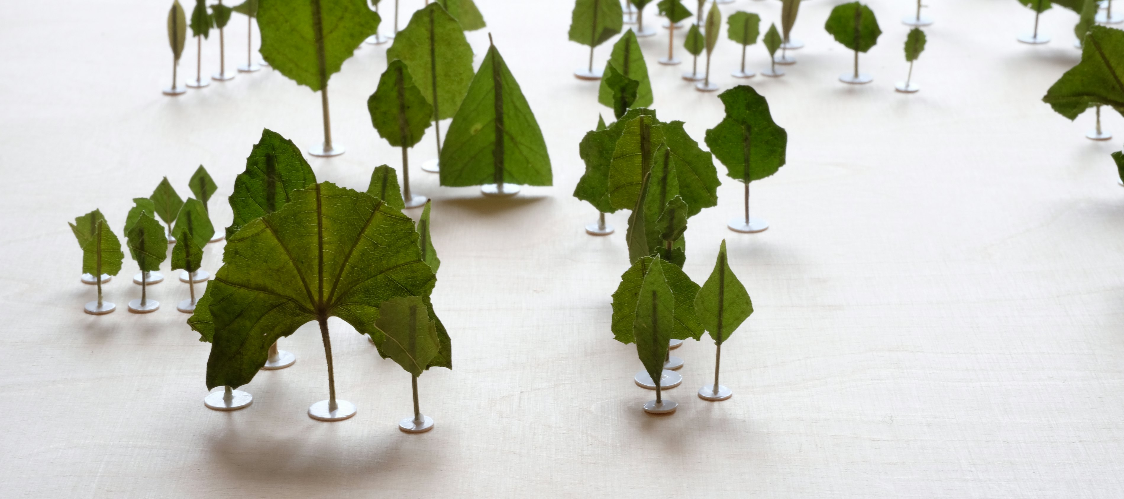 Ingeborg Meulendijks N U 01