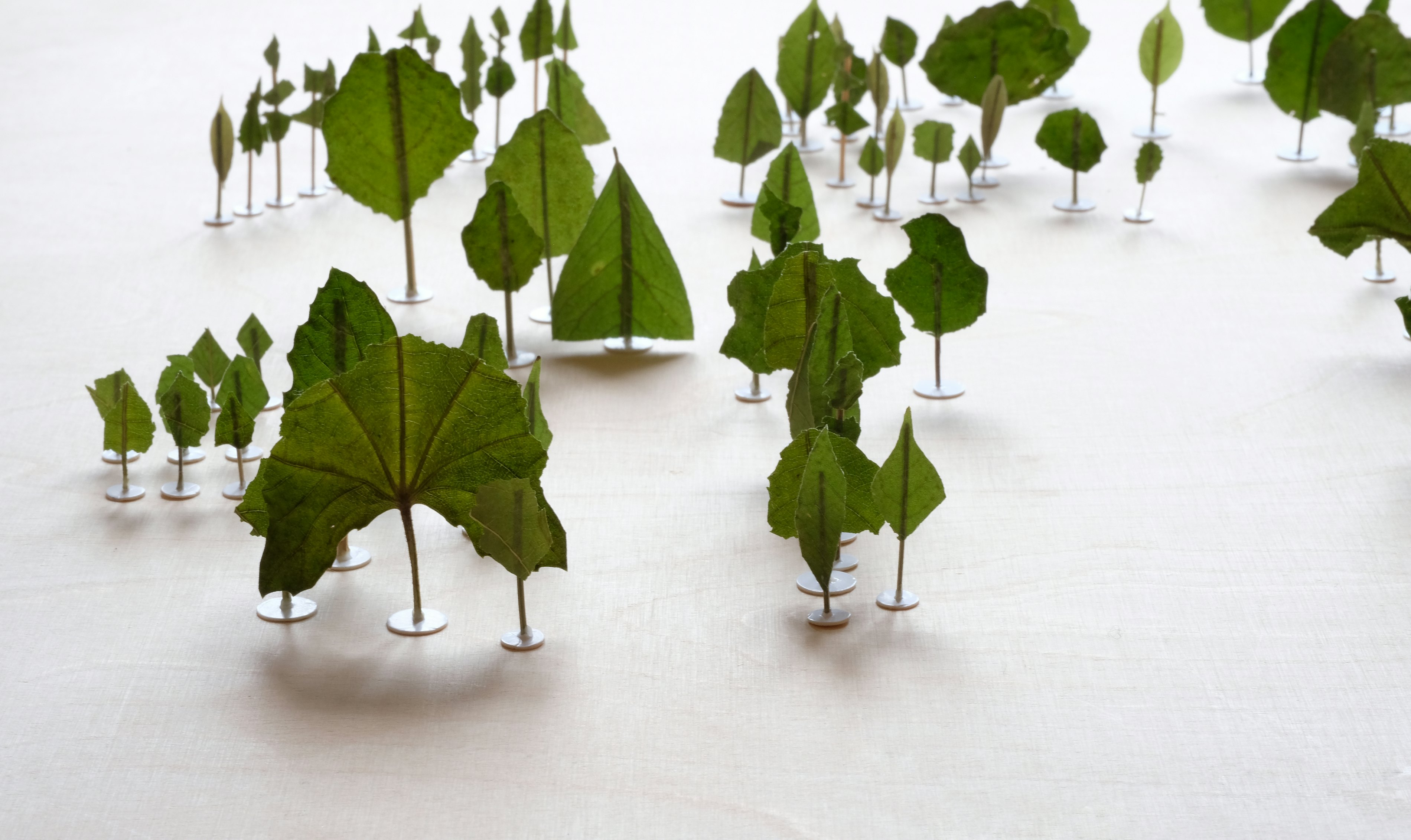 Ingeborg Meulendijks N U 01