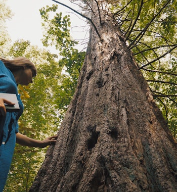 Placeholder for Screen Miriam 3