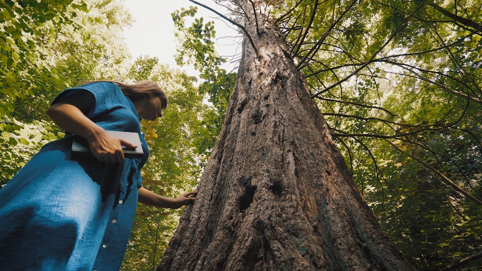 Placeholder for Screen Miriam 3