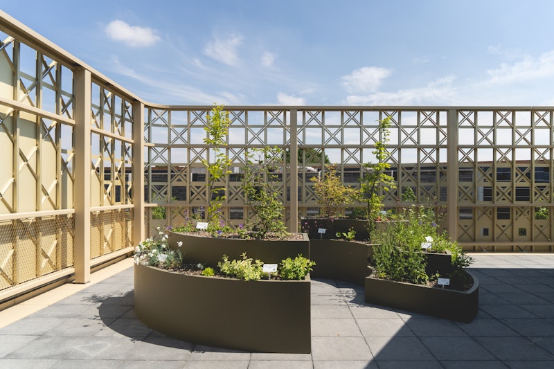 VBVD2022 Algemene Fotografie 025