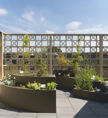 Placeholder for VBVD2022 Algemene Fotografie 025