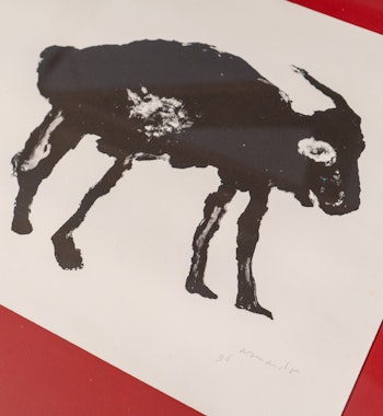 Placeholder for VBVD2023 Armando 058