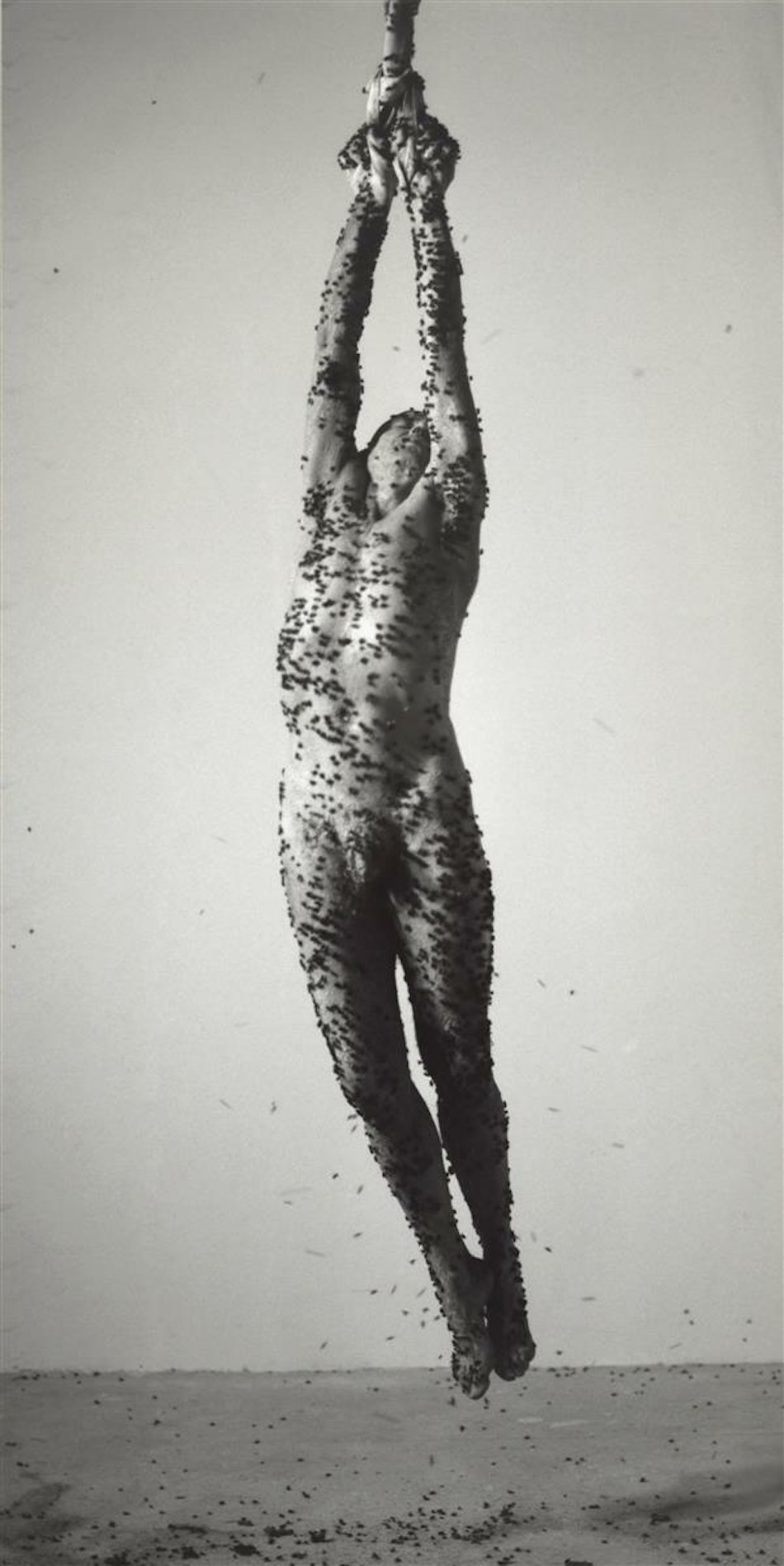 Placeholder for 3263