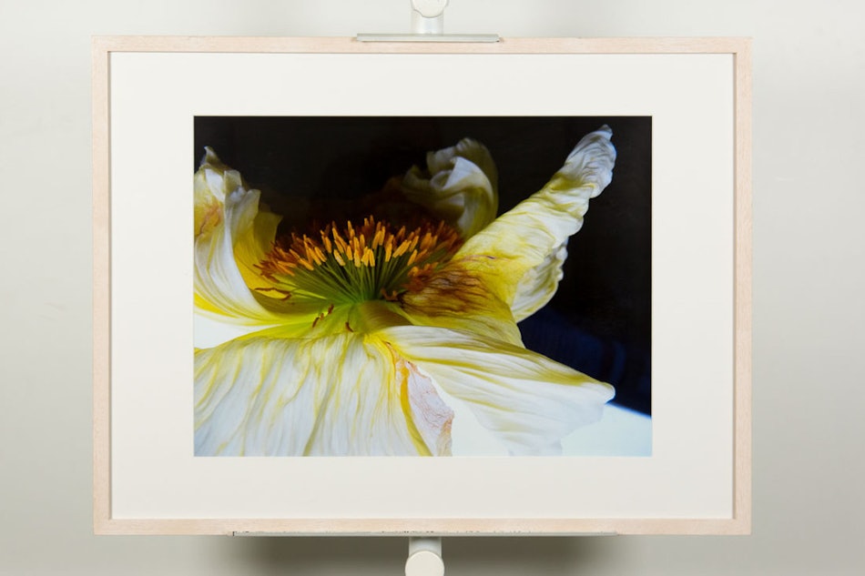 Placeholder for 56db8d4f ef00 4e1e b79d 2693e839fe60