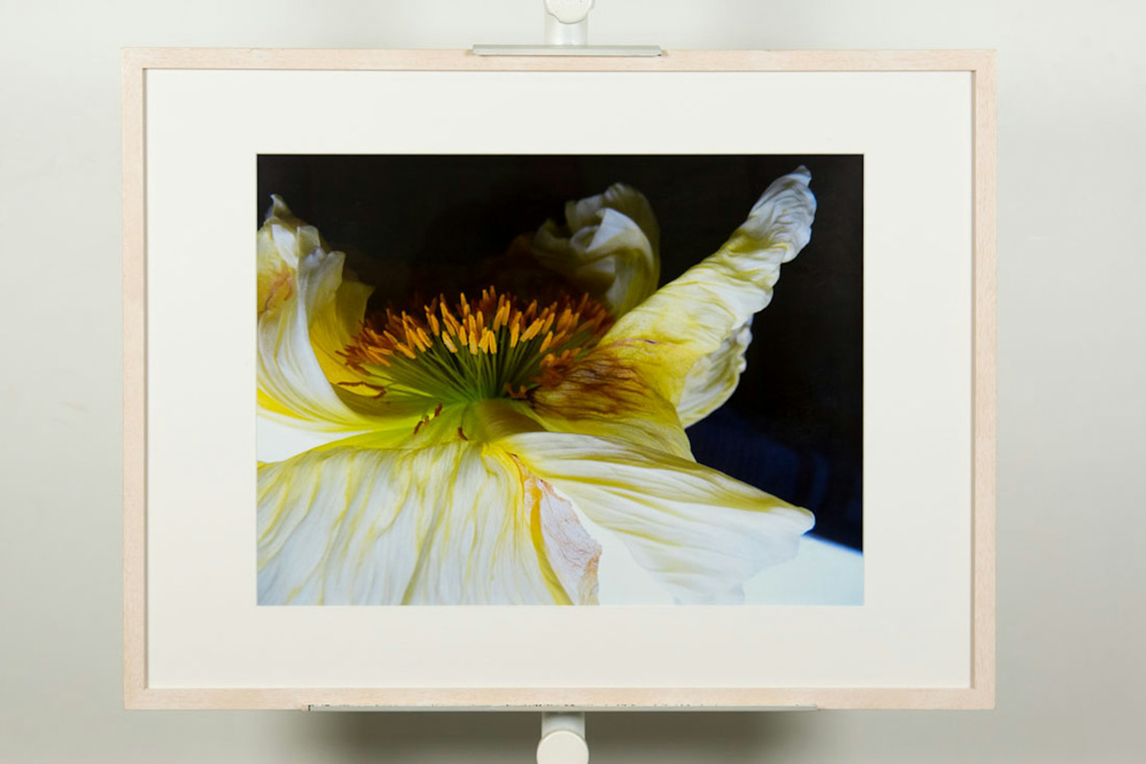 56db8d4f ef00 4e1e b79d 2693e839fe60