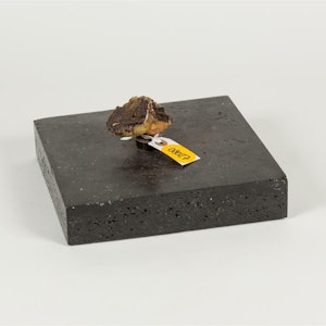Placeholder for 8027