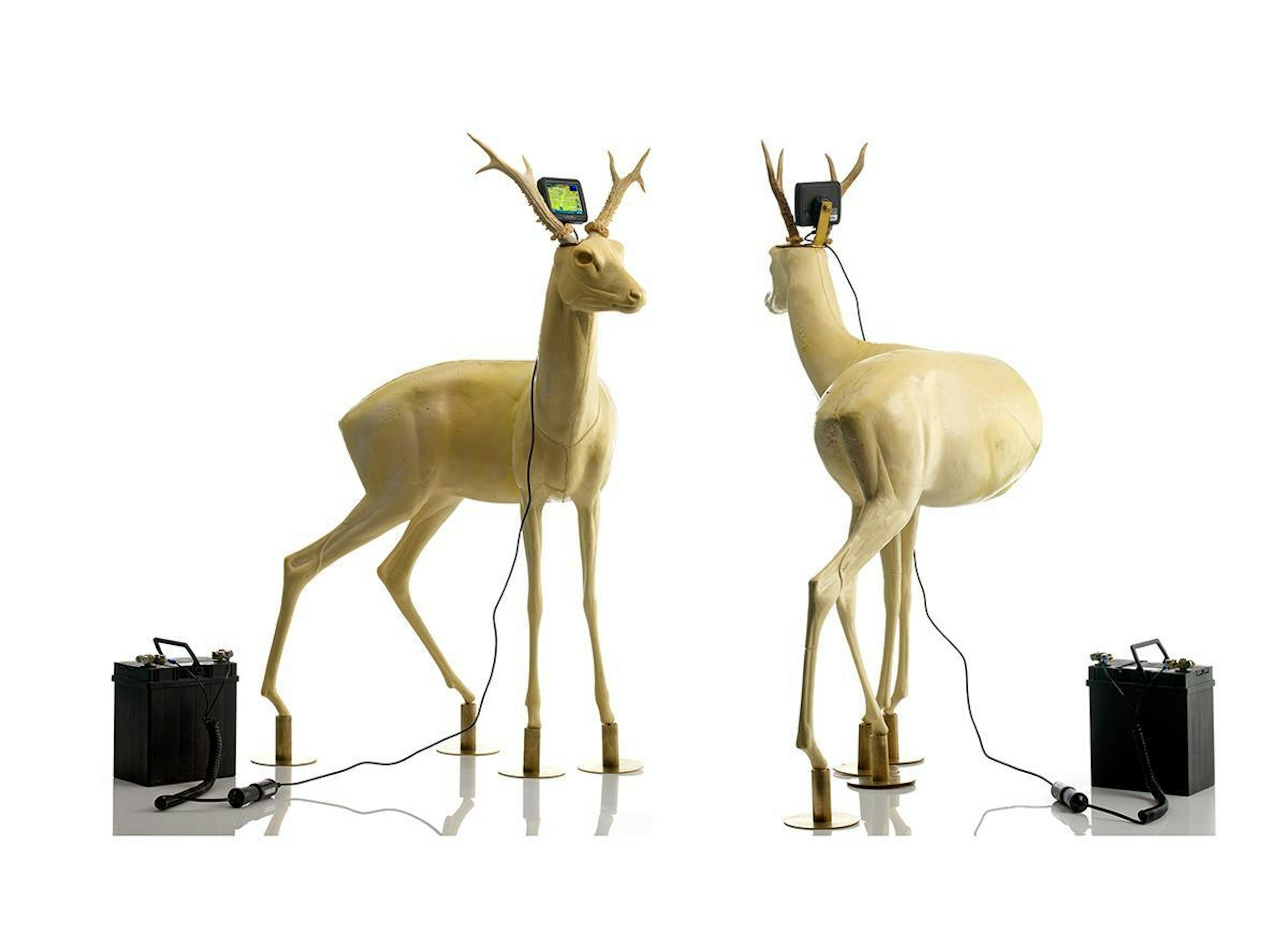 98428dff 828e 43ad 9d17 5a293e2f439b