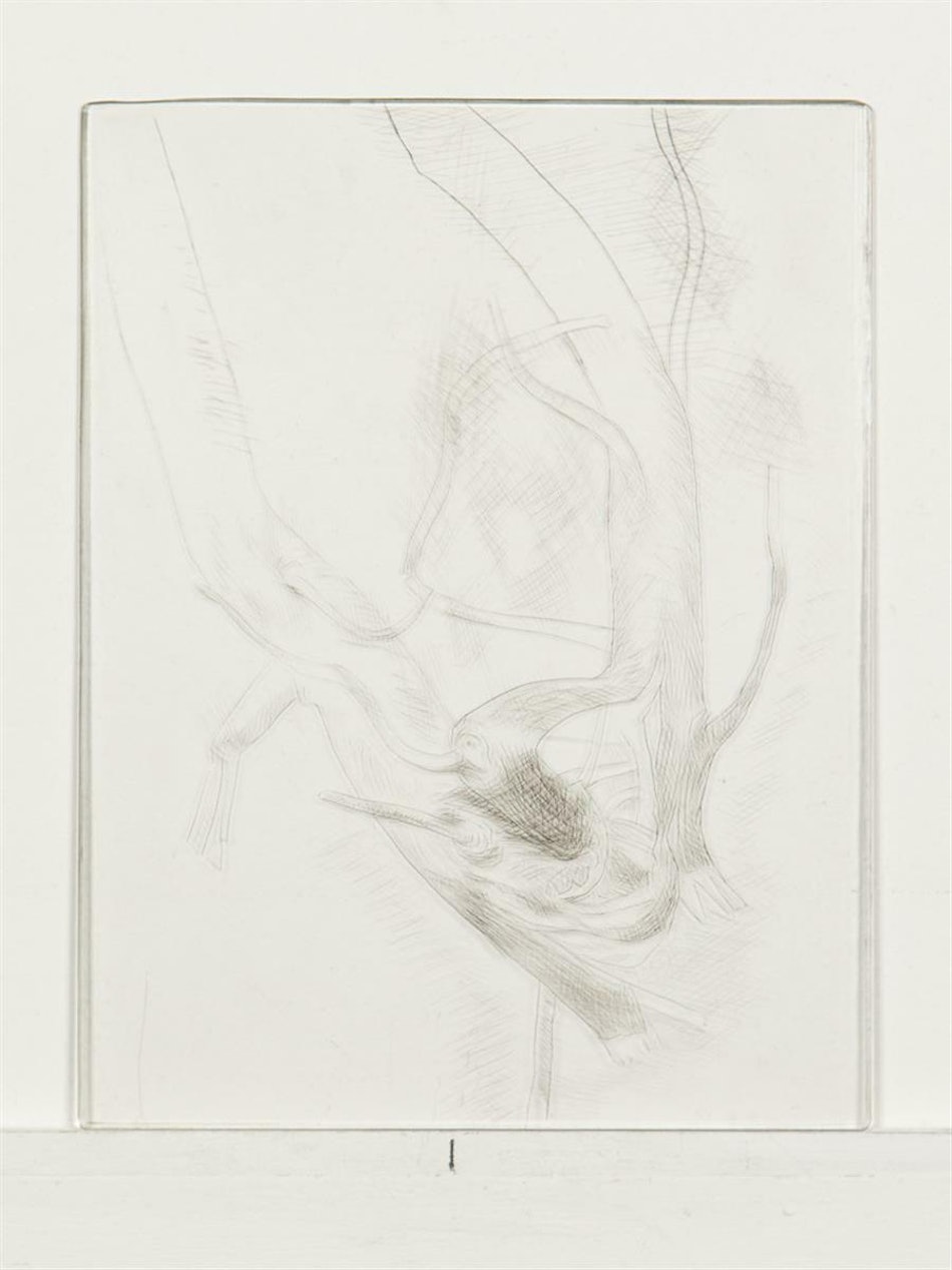 Placeholder for SHB 4081